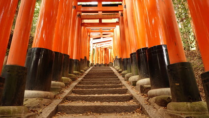 京都神社鳥居