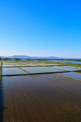 水を張った越後平野（新潟県）