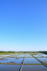 水を張った越後平野（新潟県）