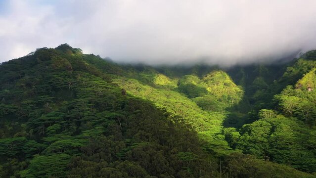 Aerial drone view of Mt Makaleha, Kauai, Hawaii, United States.