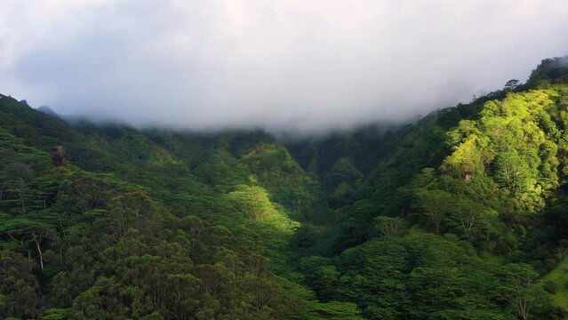 Aerial drone view of Mt Makaleha, Kauai, Hawaii, United States.