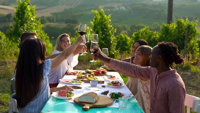 Group of young multiracial people cheering with red wine outdoor - Diverse friends having fun during pic nic with wineyard in the background during summer time
