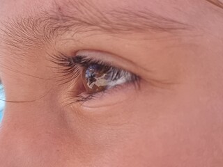 eye eyes close up details, brown open  looking for background
