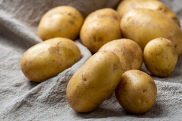 Closeup of ripe washed potato tubers on burlap fabric.