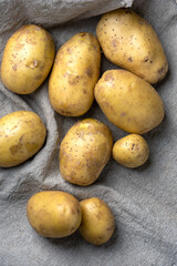 Top view of ripe washed potato tubers lying on burlap.