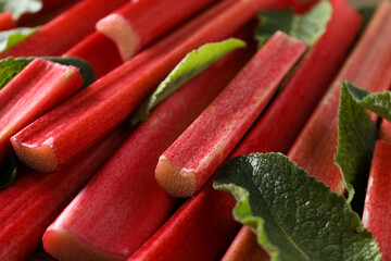 Rhubarb stem and mint leaves, close up