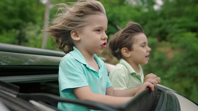 Adorable happy little boys children in open car sunroof during road trip, summer