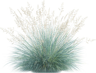 Side view of wild grass