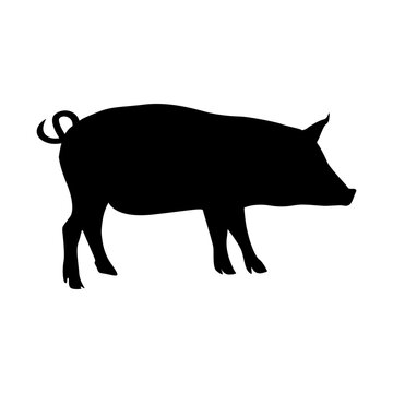 pig silhouette vector
