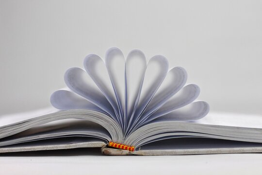 book's white paper pages folded creatively
