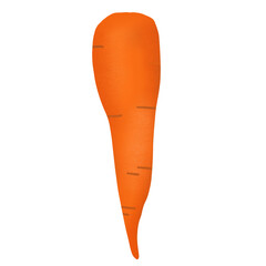  carrot