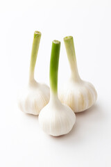 白背景のニンニク