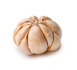 Single fresh white garlic bulb isolated on white background with clipping path and shadow in png file format, Thai herb is great for healing several severe diseases, heart attack