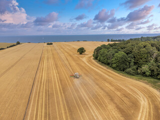 Fototapeta premium landscape with road, field, landscape, sky, agriculture, nature, summer, farm, road, rural, countryside, land, wheat, blue, crop, tree, harvest, country, clouds, farmland, trees, cloud, green, 