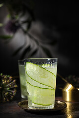 Concept of fresh summer drink - brine cocktail