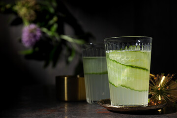 Concept of fresh summer drink - brine cocktail