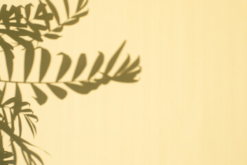 Shadows of palm tree branches on a yellow background. Natural background. Selective focus