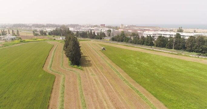 Aerial view of a eye shape pattern in a field, Kibbutz Saar, Israel.