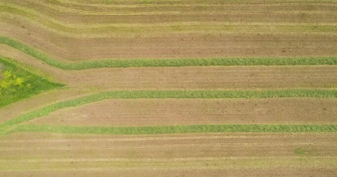 Aerial view of a eye shape pattern in a field, Kibbutz Saar, Israel.