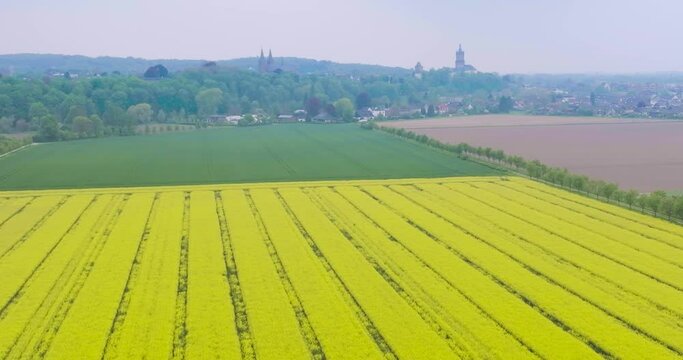Aerial view of rapeseed field and other cropland in front of city Kleve, Nordrhein-Westfalen, Germany.