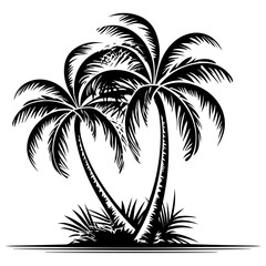 Palm Trees Black and White