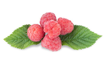 Fresh, ripe raspberries and green leaves on a transparent background.