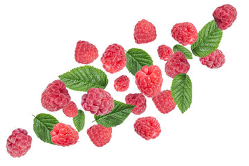 Flying fresh, ripe raspberries and green leaves on a transparent background.