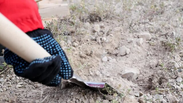 A close-up of the hands of a teenage boy using a bayonet sharp stainless steel camping spatula to dig a hole in the rocky ground to light a picnic fire. Active lifestyle. Tourism Family