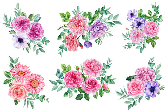 Set of flowers isolated on white background. Hand-drawn in watercolor, Summer bouquet of delicate flowers
