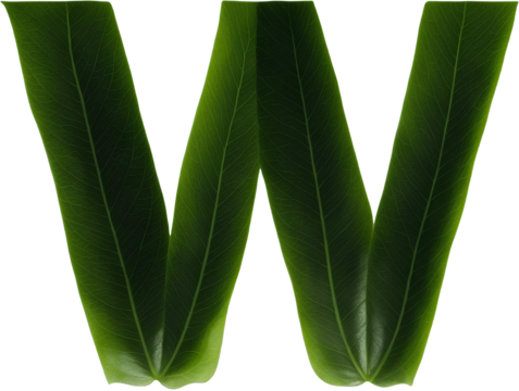 Green leaf typography text design lowercase alphabet w