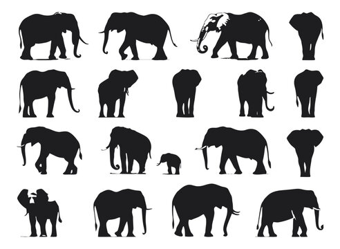 Elephant silhouettes in various poses