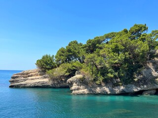 Fototapeta na wymiar Blue sea and rocky coast overgrown pine trees at summer in Montenegro.