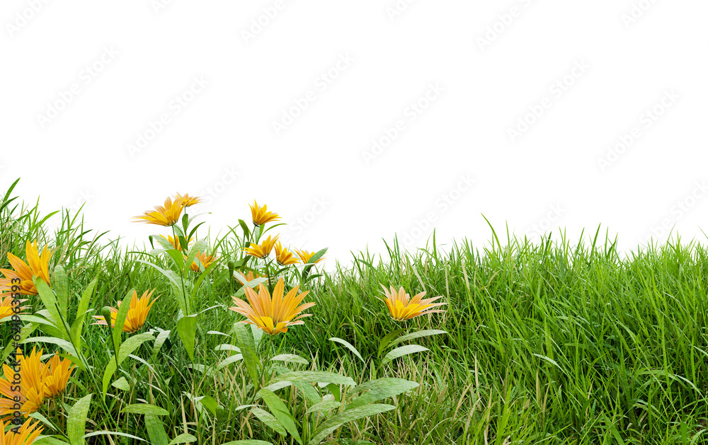 Aufkleber medow field with flower on white background with clipping path, 3d illustration rendering