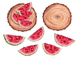 Composition with slices of watermelon. Set of wooden stump, watermelon slices. Collection of fruits.National Watermelon Day. Hand drawn vector illustration.