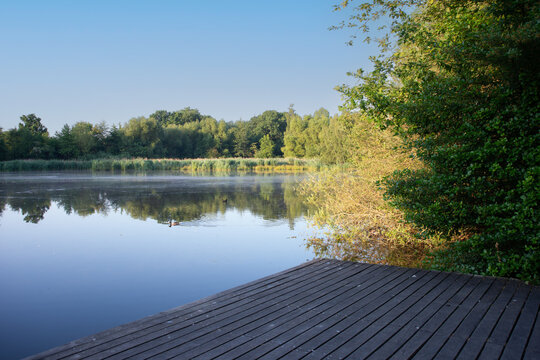 Steg am See im Gießener Stadtpark in der Morgen Sonne
