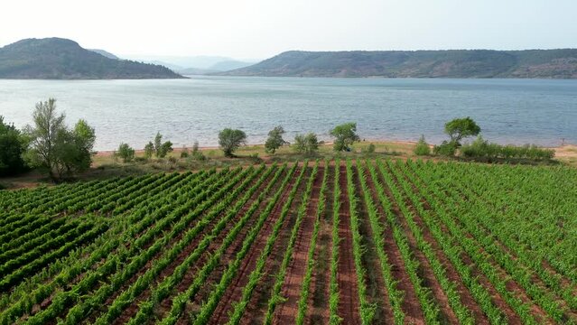 Flying over Vineyard and Lac du Salagou, Herault, Occitanie, France, High quality 4k footage
