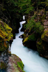 Avalanche Gorge, GNP