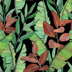 Botanical pattern, tropical and banana leaves