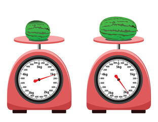 Analog scale. Water melon small and big 1kg and 2kg weight scale. isolated on white background. simple kitchen scale. vector illustration. measuring Analog scale clip art.