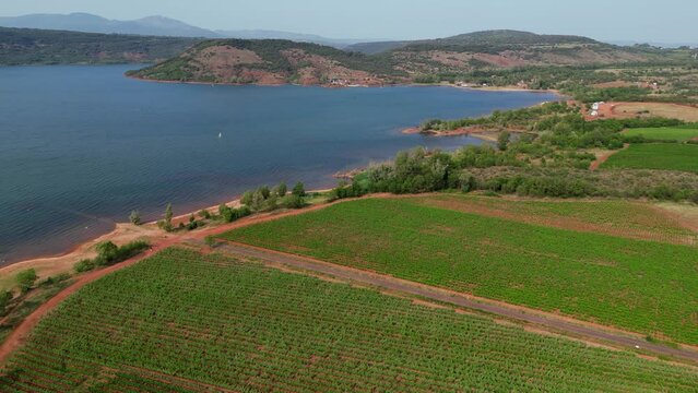 Flying over Vineyard and Lac du Salagou, Herault, Occitanie, France, High quality 4k footage