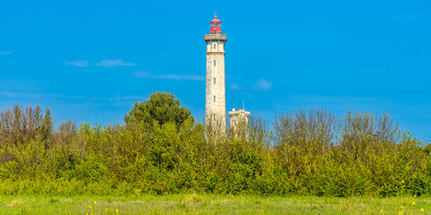 Obraz premium Countryside and Phare des Baleines lighthouse in Saint-Clément-des-Baleines, France