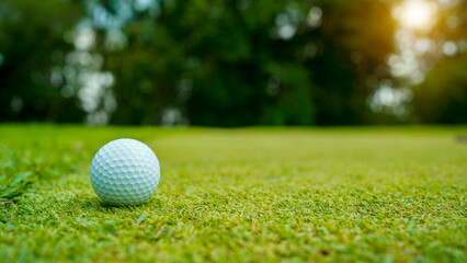 Golf ball on green grass in the evening golf course with sunshine background.
