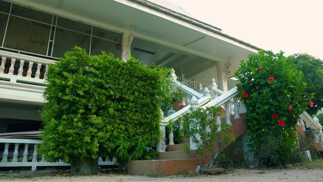Stone staircase with white stone balusters and green vegetation