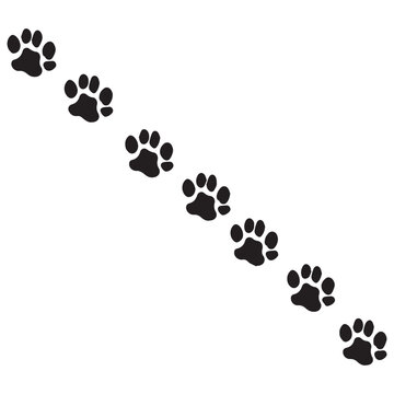 Animal Footprint silhouette vector illustration