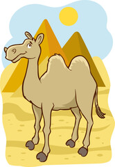 camel in Egyptian desert with pyramids. Vector cartoon illustration of landscape with, yellow sand dunes, ancient pharaoh tombs and hot sun in sky