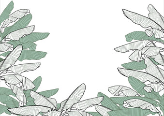 Tropical leaves banner, banana leaf vector background