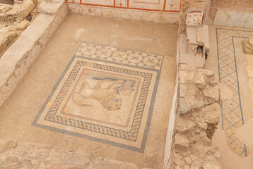 Ephesus - Lion Floor in Terrace Houses