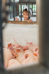 Little brunette Latina girl, looking at the piglets sleeping confined in the pen. Concept of education and veganism