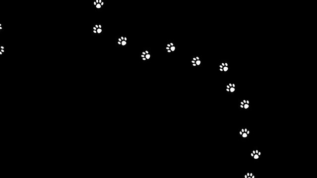 An animation of cat footprints in black and white.
