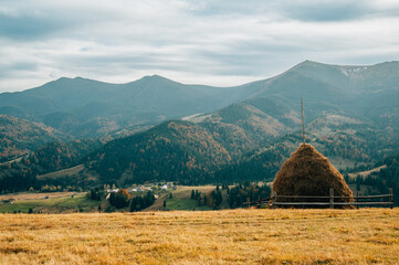 rural autumn background. mountains and colorful trees.